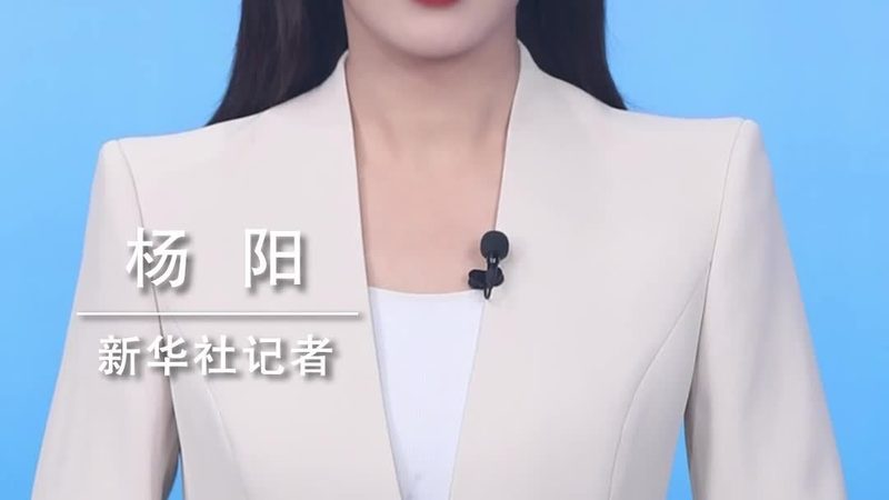 医药研发外包项目的关键对接节点解析